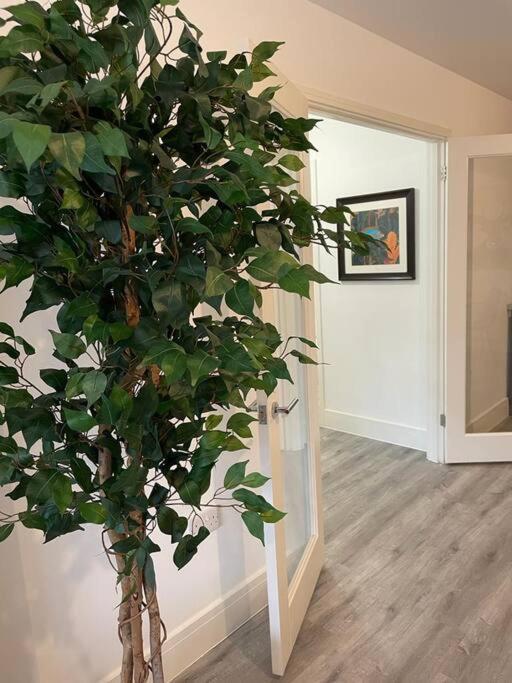 Stunning And Spacious 2Bed Flat In Central Woking Zewnętrze zdjęcie